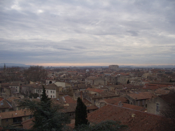 [Avignon]