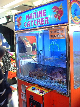 [lobster catcher]