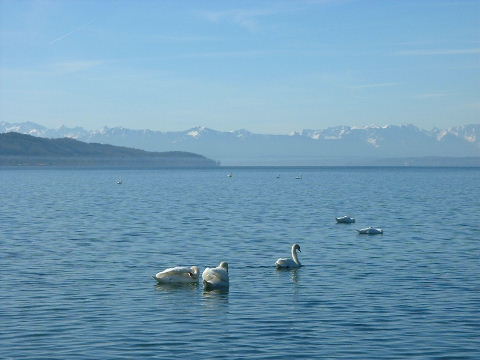 [Starnberger See 2]