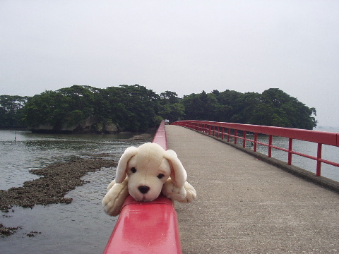 [wanko 6: Fukuura Bridge]