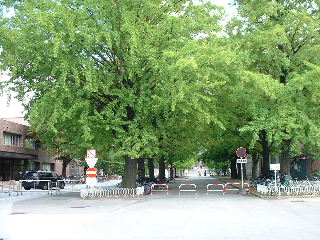 [yamagata university]
