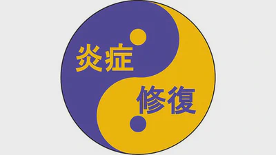 炎症−再生連関に関するレビュー featured image