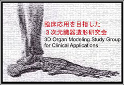 第81回 三次元臓器造形研究会---クリックでポスターを表示