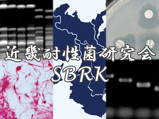SBRK 画像