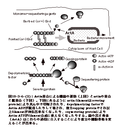 図18-3-6-(2)