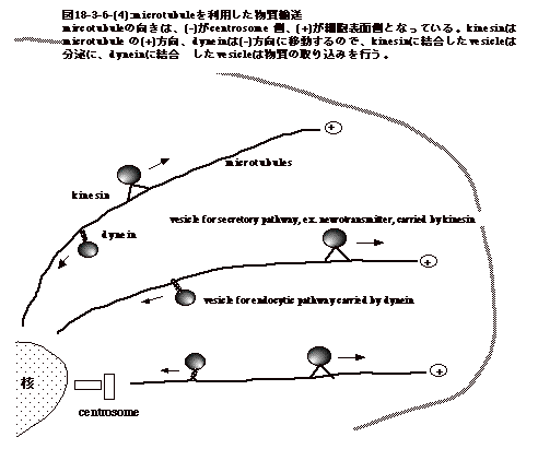 図18-3-6-(4)