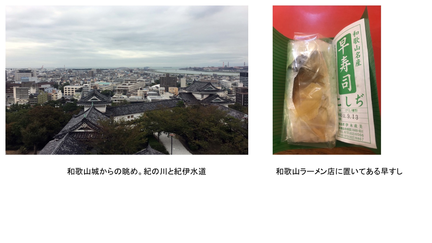 現在の和歌山　城からの眺め