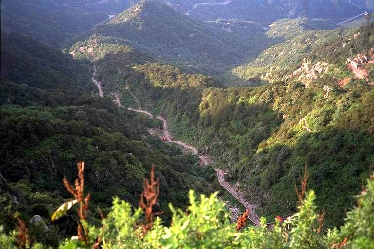 泰山の写真1