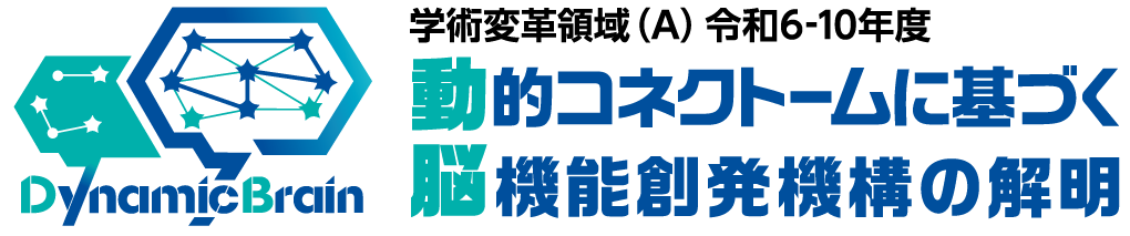 動的コネクトームに基づく脳機能創発機構の解明