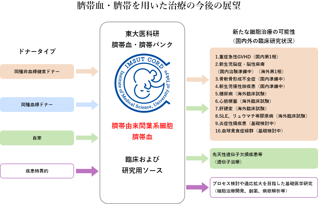 臍帯血・臍帯を用いた治療の今後の展望