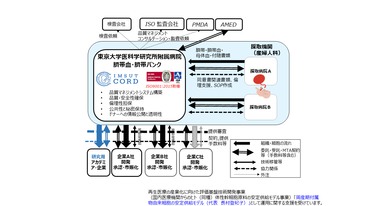 臍帯血・臍帯等試料の流れ