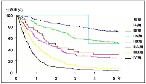 肺がん臨床病期別生存曲線（1995-98年 当施設治療・観察例）