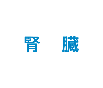 腎臓