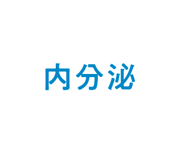内分泌分野