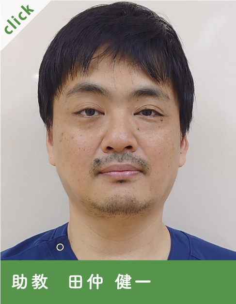 助教  田仲　健一