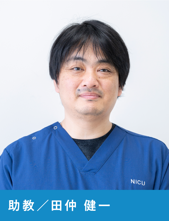 助教  田仲　健一
