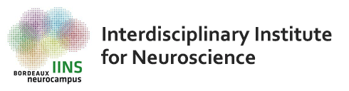 Interdisciplinary Institute for Neuroscience (IINS)