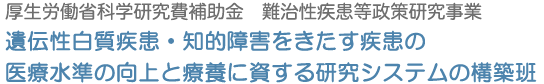 厚生労働省科学研究費補助金　難治性疾患等政策研究事業：遺伝性白質疾患・知的障害をきたす疾患の医療水準の向上と療養に資する研究システムの構築班