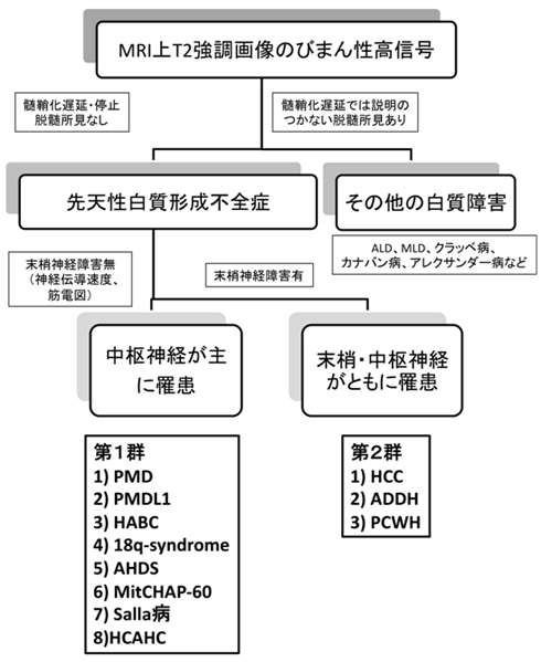 図１　先天性大脳白質形成不全症の診断・分類のためのフローチャート