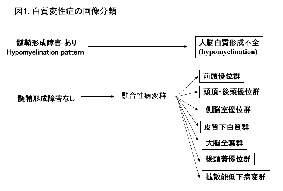 図1. 従来法MRI（T1, T2強調画像）所見に基づいた白質変性症のパターン分類（文献2から改変）