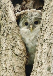 2006_0424_224311-IMGP0874