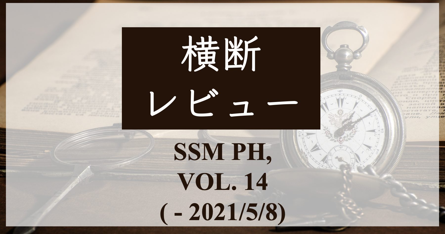 横断レビュー Ssm Population Health Vol 14 Shoei05