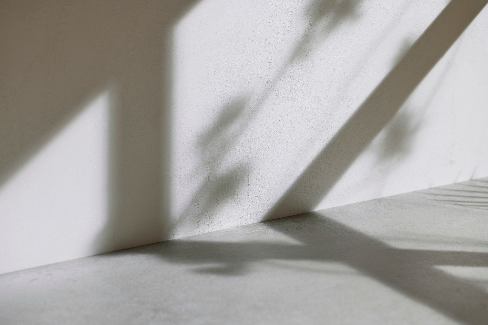 とどまる「探求」