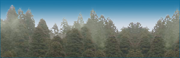 ���{���@��A�Ȋw��@�Ȗ،��n������ւ悤����