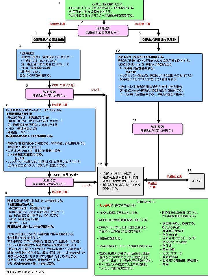 AHA ガイドライン2005