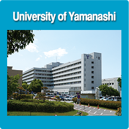 University of Yamanashi