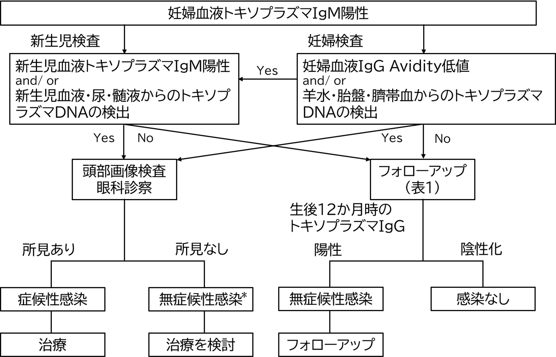 トキソプラズマ症検査とは何ですか?
