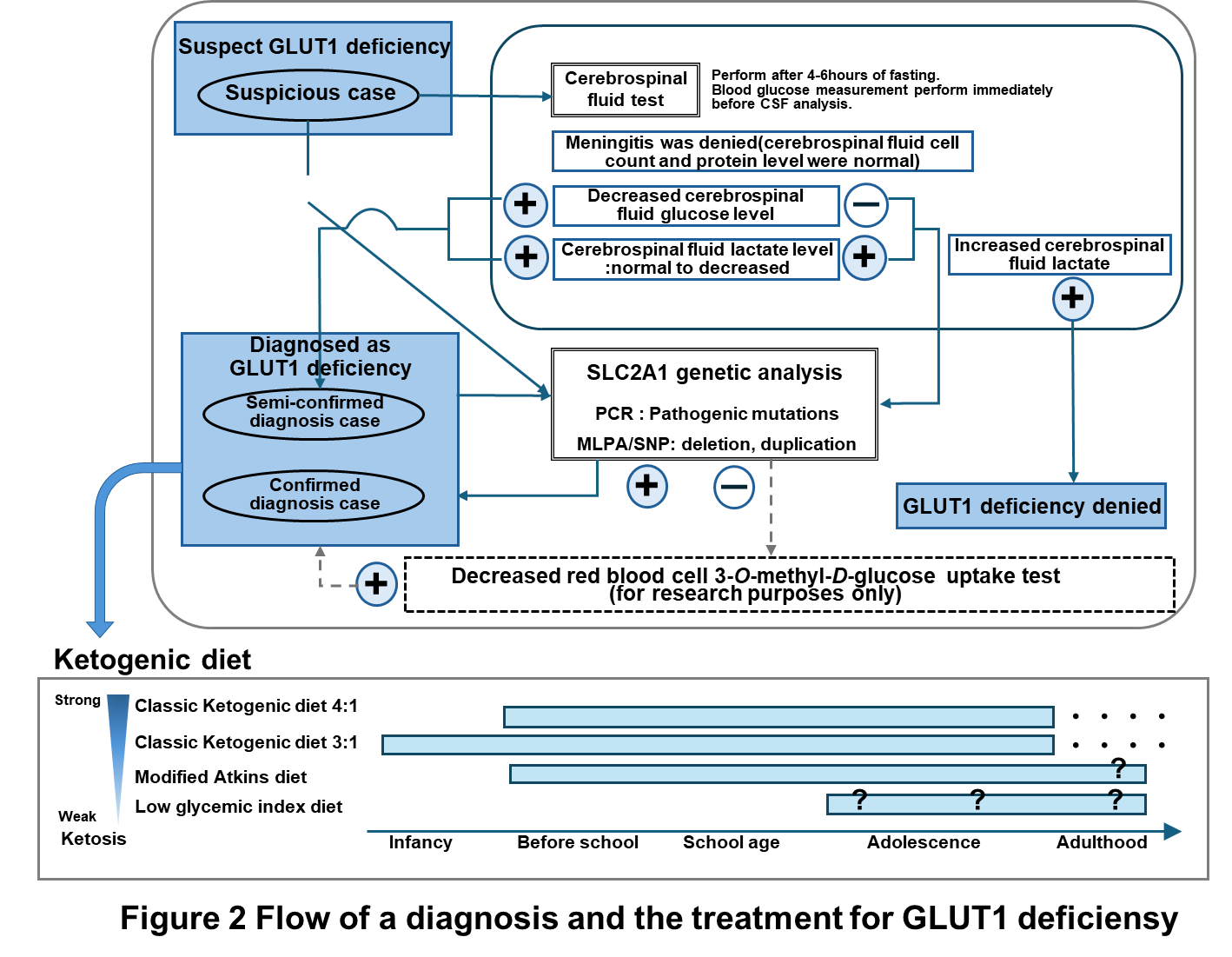 Figure 2 Flow of a diagnosis and the treatment for GLUT1 deficiensy