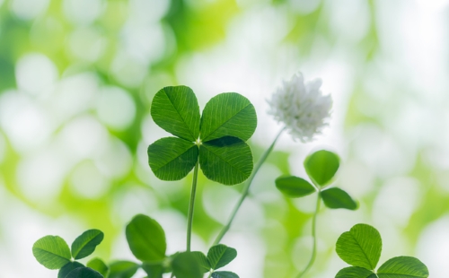 助けを求めるべきとき