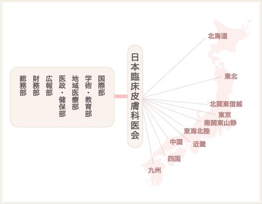 日本臨床皮膚科医会組織図