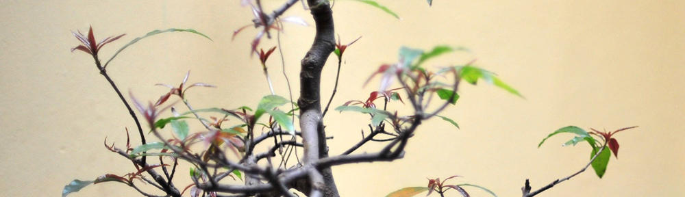 静岡県臨床細胞学会