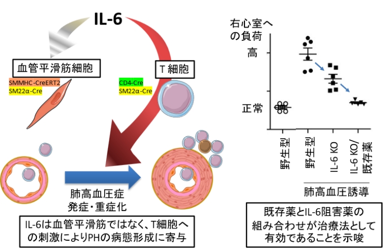 図5