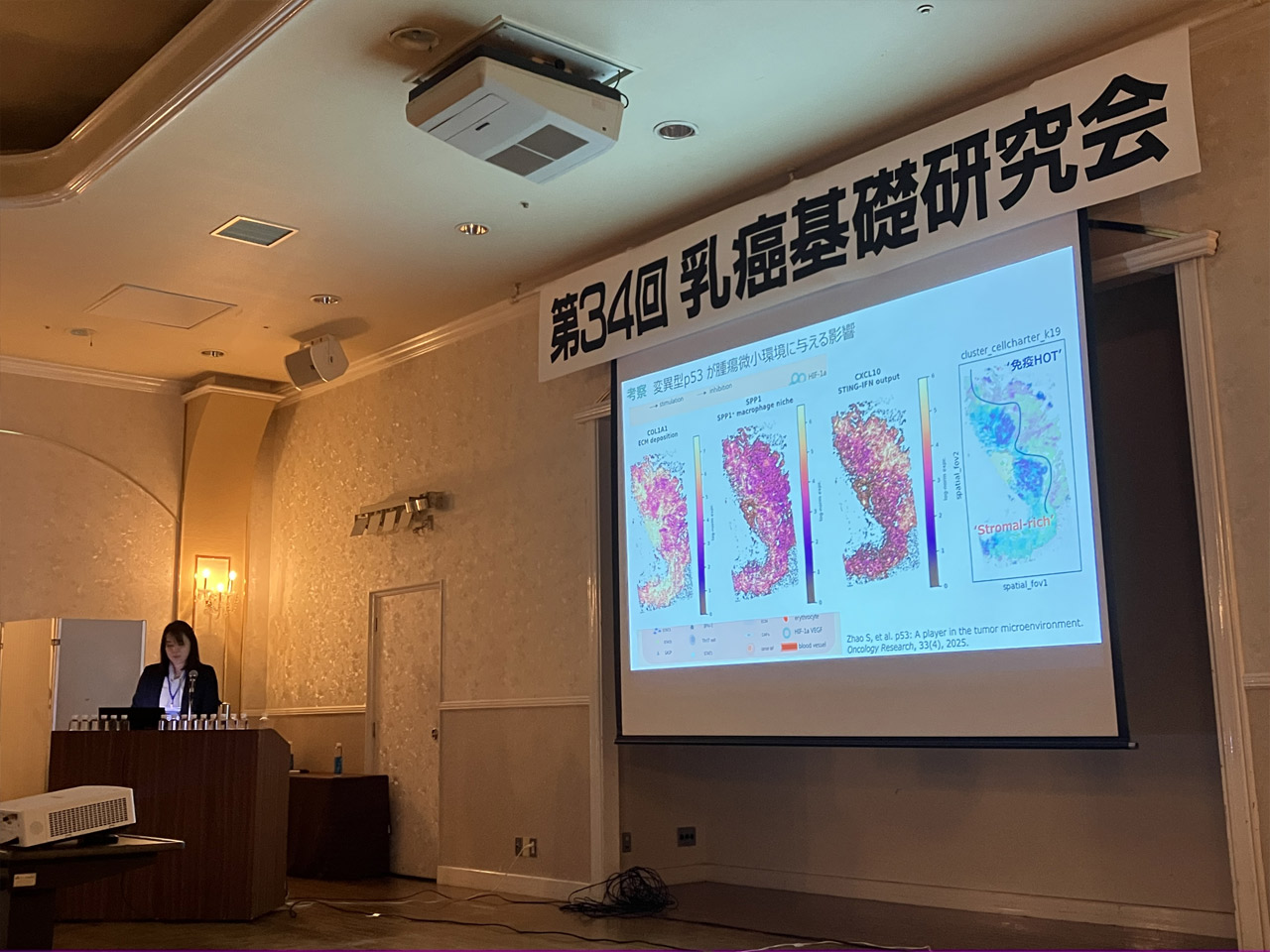 画像:第34回 乳癌基礎研究会参加報告